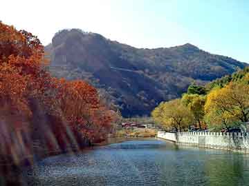 新澳天天开奖资料大全旅游团，出售泛目录站